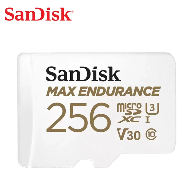 SanDisk 晟碟 TF-R100 microSDXC 2