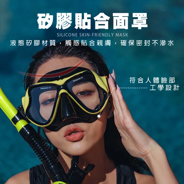 【SWIMFLOW】全乾式雙鏡面潛水面罩(浮潛面罩 單鏡面罩 潛水面鏡 潛水面罩 潛水鏡 潛水蛙鏡 浮潛 蛙鏡 泳鏡)