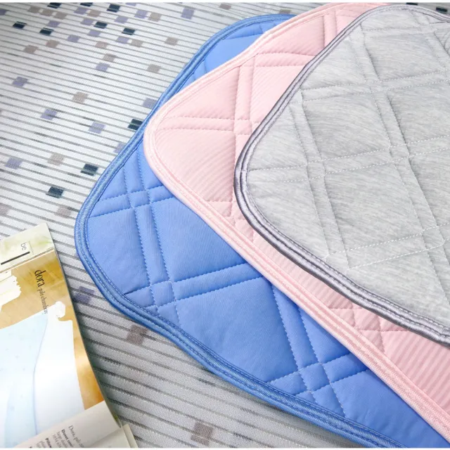 【LASSLEY】2入組冰絲涼感枕墊枕頭保潔墊(枕片 枕套 冰感 接觸冷感 外銷日本 型錄商品)