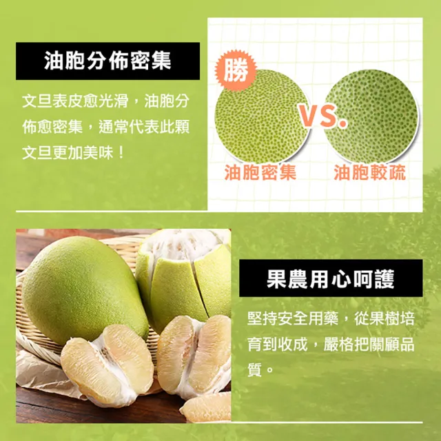 【享吃鮮果-中秋禮盒】台南麻豆老欉文旦柚1箱(6-8顆/箱/5斤 水果禮盒 柚子)