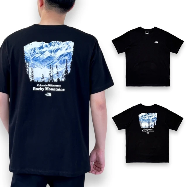 The North Face 北臉 男生 背面雪山 短袖T恤 純棉 男款 短TEE 前後LOGO