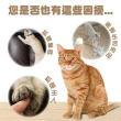 【樂晨居家】小號貓抓窩+蕊心*3(貓抓板、貓玩具、貓窩)