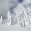 【吉航旅遊】東北藏王樹冰+溫泉美食六日-長榮航空