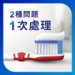 【SENSODYNE 舒酸定】進階護理 NEW專業抗敏護齦牙膏100gX8入(原味/亮白配方/沁涼薄荷)