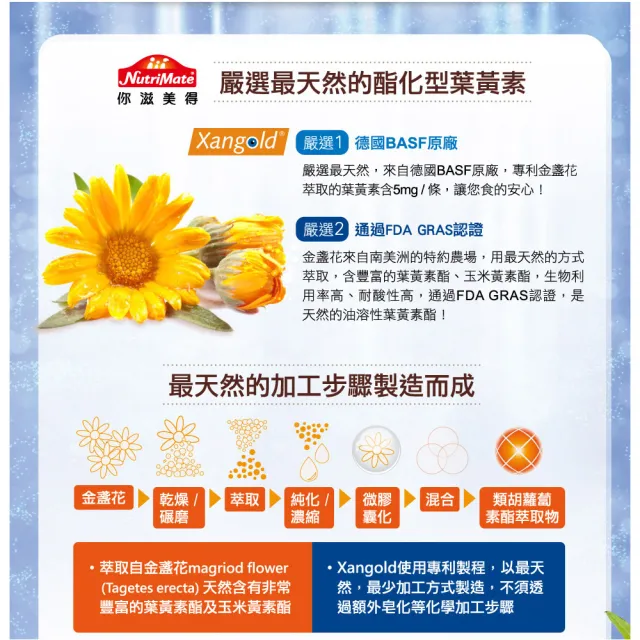 【Nutrimate 你滋美得】金盞花葉黃素凍6入組(共60條、Xangold葉黃素酯 、黑醋栗、山桑子、護眼)