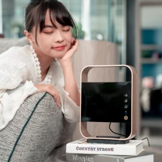 【WETOP】環境淨化器C300Pro乾坤圈(黴菌剋星)