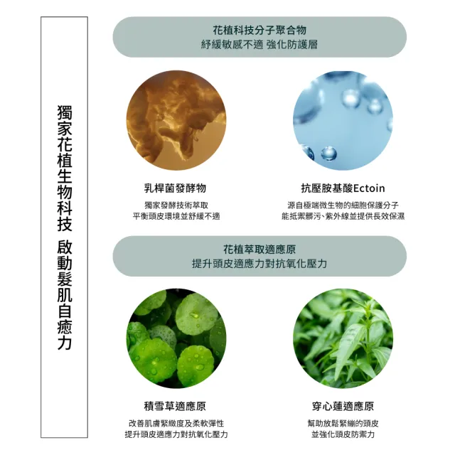 【AVEDA】蘊活淨瑕舒敏潤髮乳 1000ml(全新頭皮保養 呵護髮肌齡)