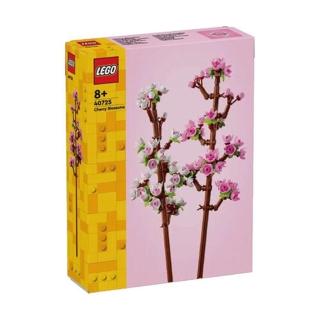 【ToysRUs 玩具反斗城】Lego樂高 櫻花 40725