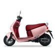 【Gogoro】Delight MY23(GM7R2)