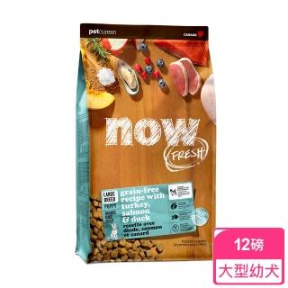 【Now!】大型幼犬/懷孕犬鮮肉配方12磅 狗狗無穀天然糧(狗糧 狗飼料 大型犬 綠唇貝 益生菌)