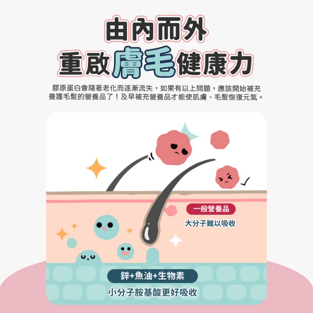 【汪汪寶貝】增亮麗Plus+ 30包/盒(貓狗保健/寵物益生菌/毛髮保養)