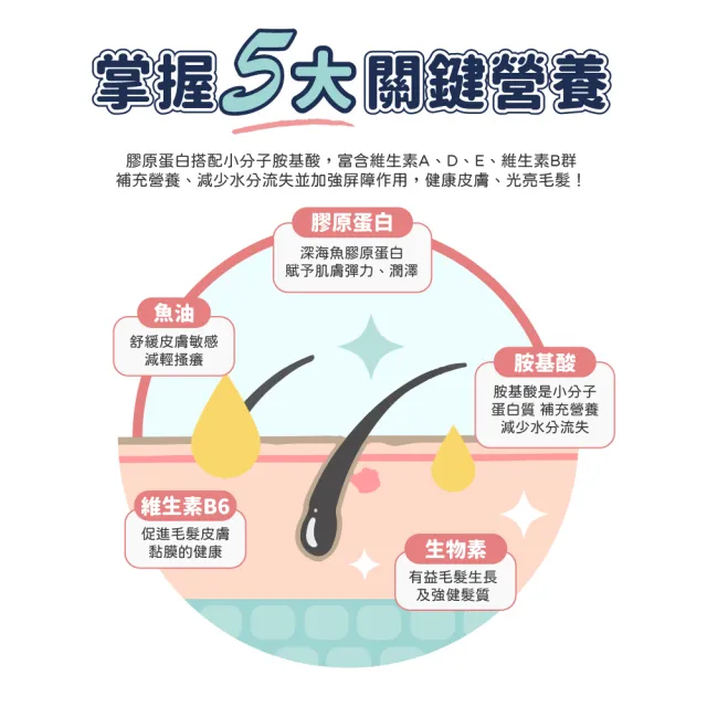 【汪汪寶貝】增亮麗Plus+ 30包/盒(貓狗保健/寵物益生菌/毛髮保養)