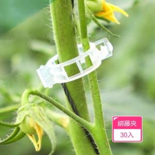 【Dagebeno荷生活】卡扣設計PP材質藤蔓植物固定夾 免搭架農場園藝綁藤夾(30入)