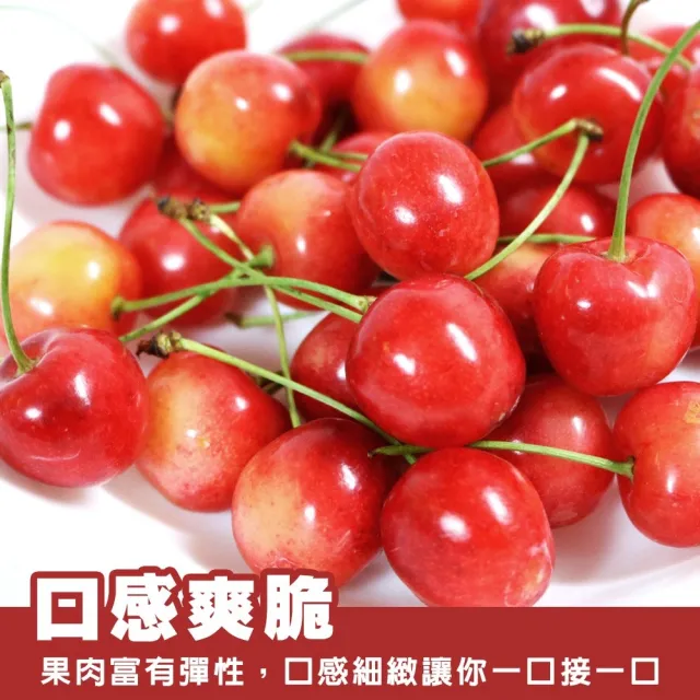 【WANG 蔬果】美國草莓白櫻桃9.5R 1Kgx1盒(禮盒組/空運直送)