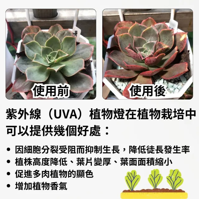 【JIUNPEY 君沛】2入組 T8 3呎 25W紫外線UV全光譜植物燈管(植物生長燈)