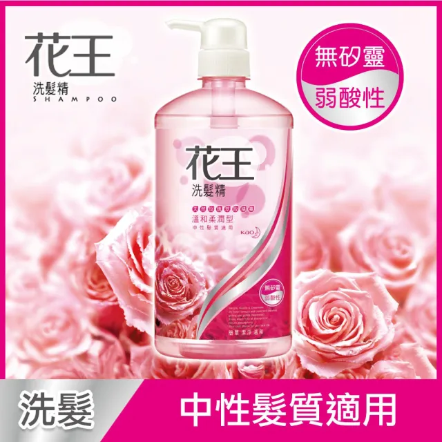 【Kao 花王】暢銷洗髮精/潤髮乳750ml x3入(多款任選)