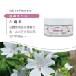 【Everose 愛芙蓉】女皇系列 營養體霜200ml(香氛任選/滋養/修護/保濕/送禮/交換禮物)