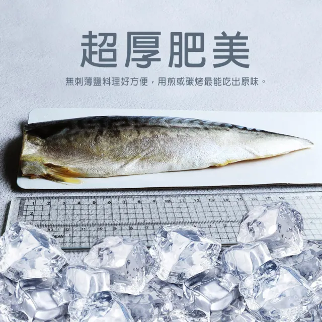 【優鮮配】厚片超大油質豐厚挪威薄鹽鯖魚20片(210g/片)