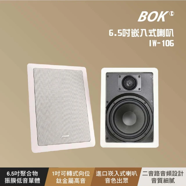 JBL PASION 10A 懸吊壁掛式一對(10吋被動式2