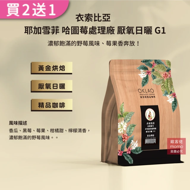 Buon Caffe 步昂咖啡 衣索比亞 古吉 罕貝拉 布穀