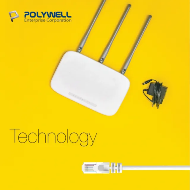 【POLYWELL】CAT6 網路線 /10M