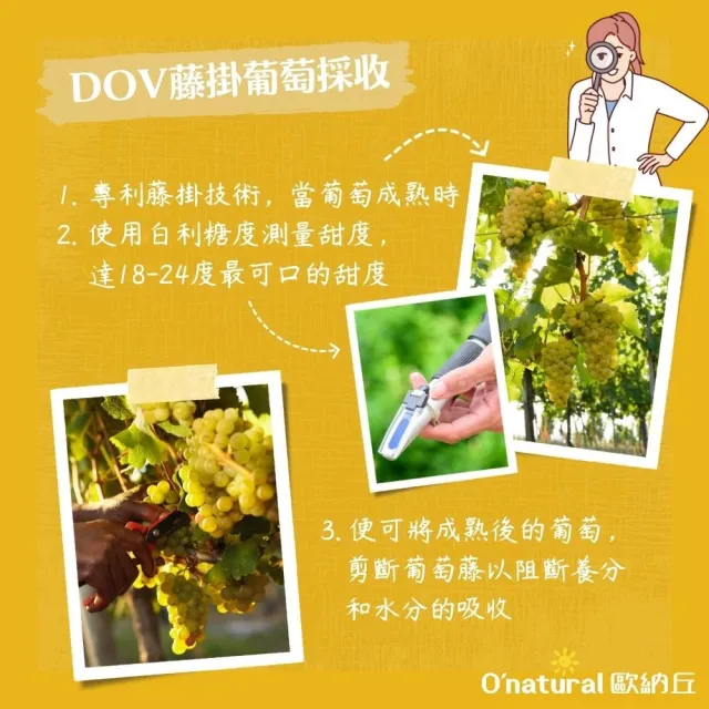 【O’natural 歐納丘】美國加州藤掛天然葡萄乾360g/罐