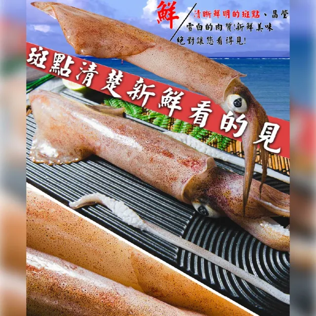 【鮮綠生活】野生船凍透抽2包(500g±10%/包 1包2支 共2包4支;中秋烤肉、露營)