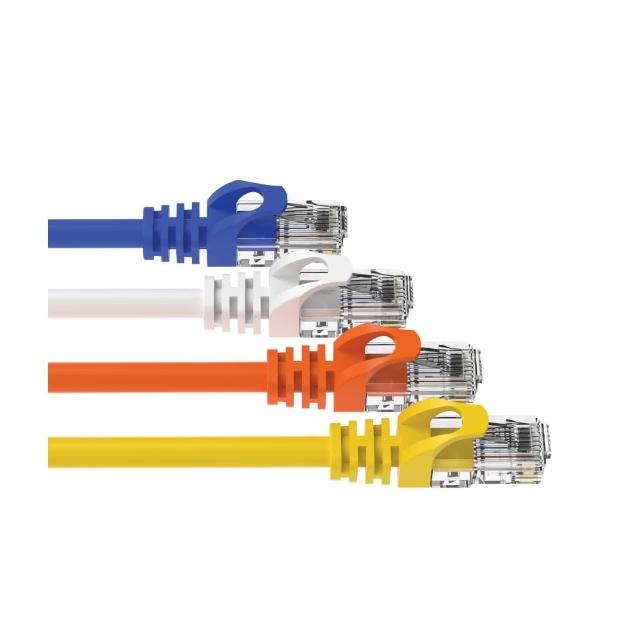 【POLYWELL】CAT6 網路線 /30公分 /2入