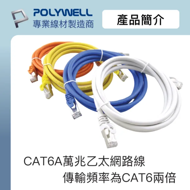 【POLYWELL】CAT6A 高速乙太網路線 S/FTP 10Gbps /20M