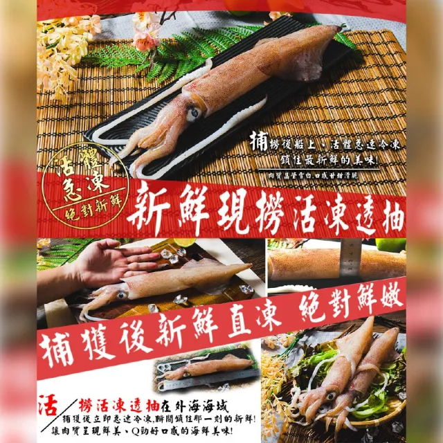 【鮮綠生活】野生船凍透抽 3包(500g±10%/包 2隻/包;中秋烤肉、露營)