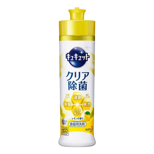 【Kao 花王】日本 珂珂透 除菌高效洗碗精 240ml(平輸商品)