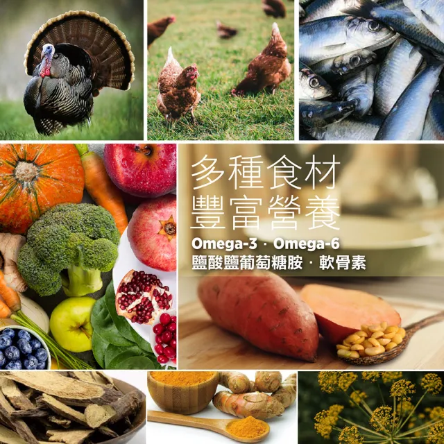 【Nutrience 紐崔斯】無穀養生系列全齡貓寵糧/6種魚-2.5kg(成貓飼料、全齡貓飼料、添加益生菌、WDJ)