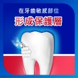 【SENSODYNE 舒酸定】進階護理 專業抗敏護齦牙膏100gX6入(3款任選2組共6入)