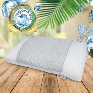 【Victoria】涼感透氣SPA兩用枕(1入)
