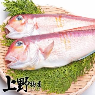 【上野物產】5隻 馬頭魚