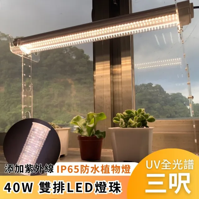 【JIUNPEY 君沛】3呎 40W 全光譜+UV紫外線 防水型LED植物燈管(植物生長燈 三防燈)