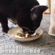 【防御工事】Hururu 開凍! 100%原肉高蛋白凍乾 野牧鮮雞