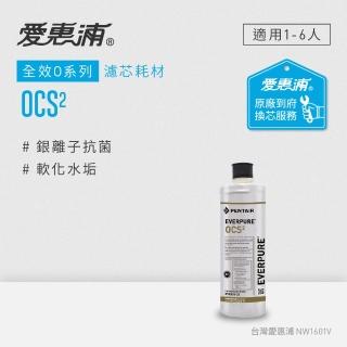 【EVERPURE 愛惠浦】OCS2活性碳濾芯(到府更換)