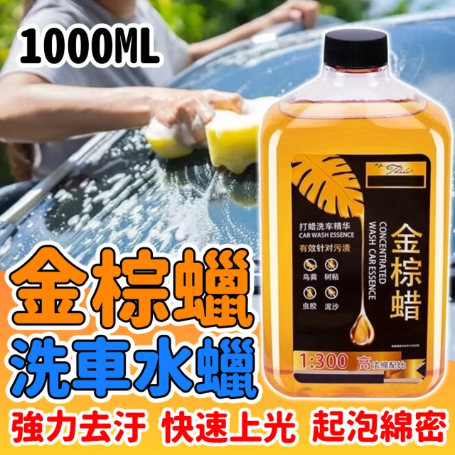 CHYUNYAO 6代 巴西金棕蠟洗車蠟1000ml 2入組