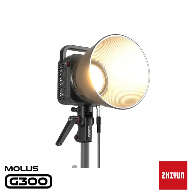 ZHIYUN 智雲 功率王 G300 單燈組(正成公司貨)