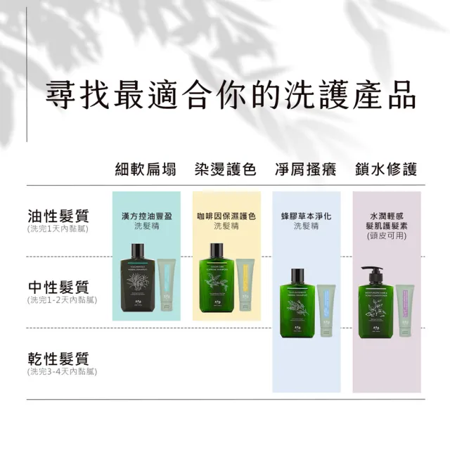 【黑淬絲】咖啡因保濕護色洗髮精320ml(清新含羞草 染燙髮適用 修護受損)