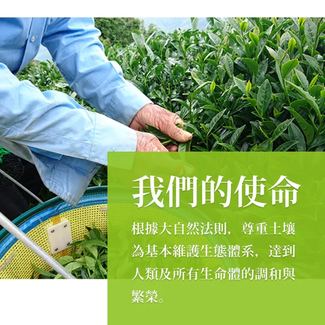 【龍源茶品】清盈醇香梨山高山烏龍茶葉150gx16包(共4斤;無焙火;附提袋)