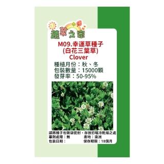 【蔬菜工坊】M09.幸運草種子(白花三葉草)