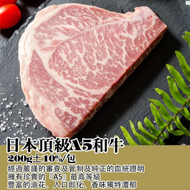 【鮮綠生活】和牛龍蝦特頂海陸烤肉9件組(約8人份量;中秋烤肉、露營、烤肉組)