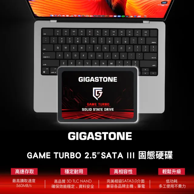 【Gigastone 立達】搭外接盒 ★ Game Turbo 1TB SATA ssd固態硬碟 5年保 讀560M