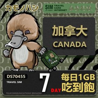 【platypus 鴨嘴獸】Travel Sim 加拿大7天 吃到飽 上網絡卡