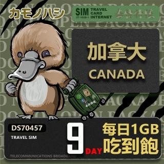 【platypus 鴨嘴獸】Travel Sim 加拿大9天 吃到飽 上網卡