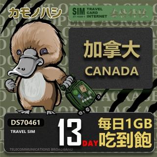 【platypus 鴨嘴獸】Travel Sim 加拿大13天 吃到飽 上網卡