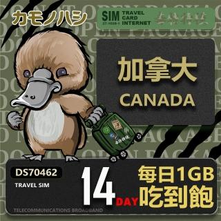 【platypus 鴨嘴獸】Travel Sim 加拿大14天 吃到飽 上網卡