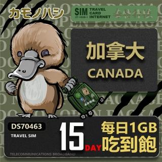 【platypus 鴨嘴獸】Travel Sim 加拿大15天 吃到飽 上網卡